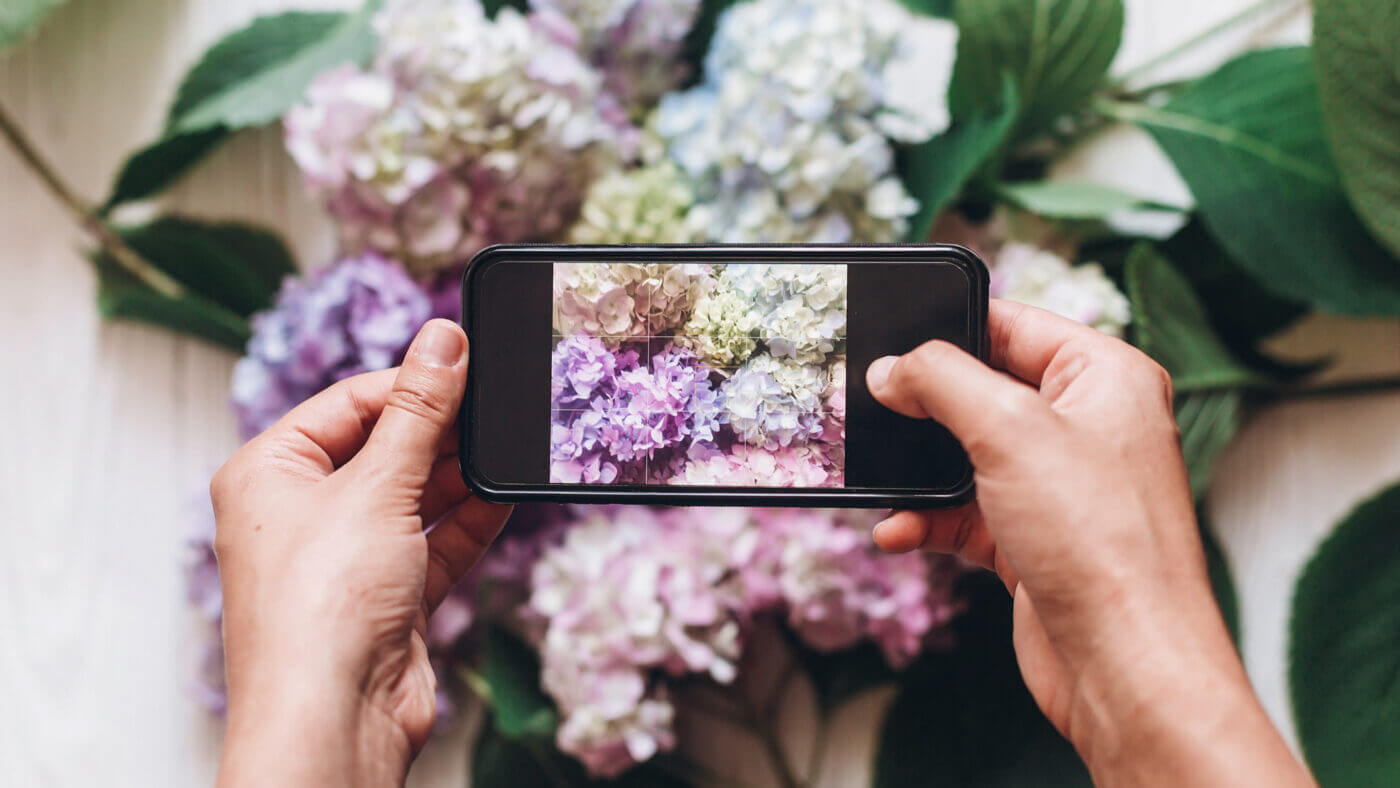 Fiorillusion negozio online di Fiori e Rose